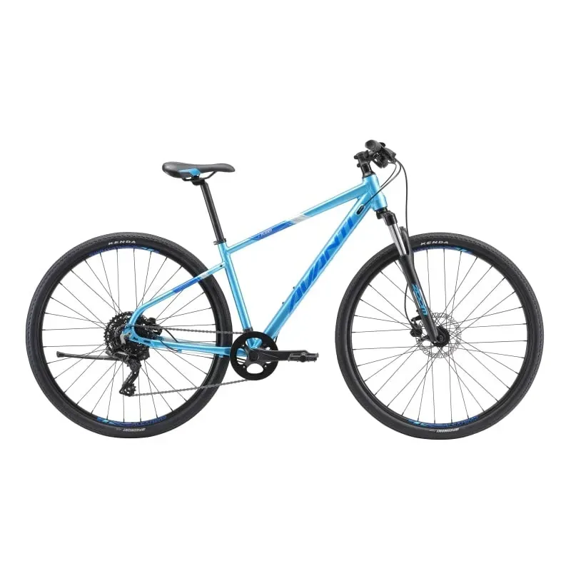 Avanti X-Plorer MS 1 Women's Hybrid Bike in Blue