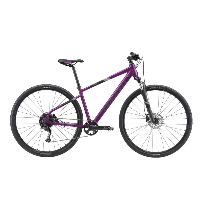 Avanti X-Plorer MS 2 Women's Bike in Purple