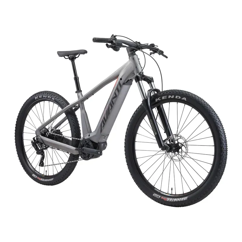 Montari-E Performance Silver-1